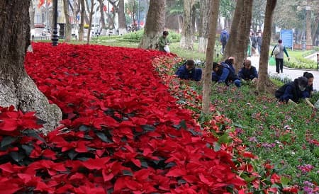 Chung tay để Hà Nội mãi đẹp