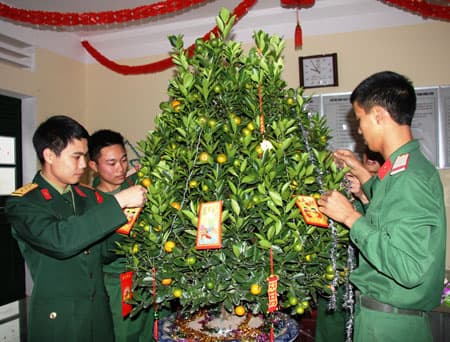 Xuân “gõ cửa” Trung đoàn 209