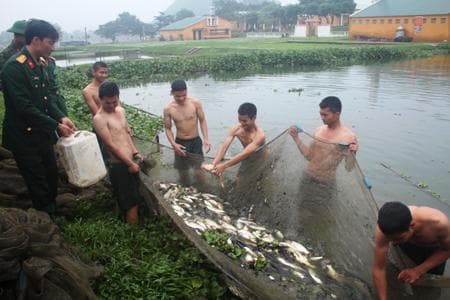 Cỗ Tết từ vườn, ao, chuồng trong doanh trại