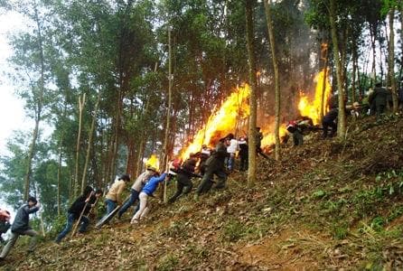LLVT huyện Sa Pa tích cực dập lửa cứu rừng trên đỉnh Hoàng Liên