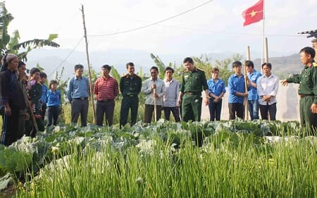 Đoàn Kinh tế-Quốc phòng 356 (Bộ CHQS tỉnh Lai Châu) chung sức xóa đói, giảm nghèo ở các xã biên giới