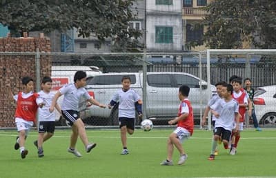 Nâng cao thể chất người Hà Nội