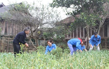 Hiệu quả từ những mô hình giúp dân xóa đói giảm nghèo
