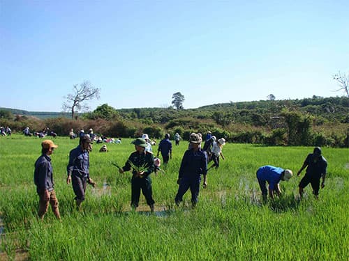 Đổi thay trên vùng biên giới Tây Nguyên