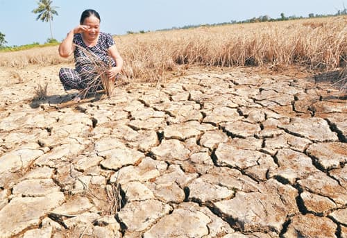 ỨNG PHÓ VỚI HẠN MẶN