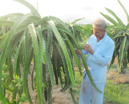 "Chế" mìn diệt địch
