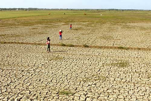 Chuyển đổi sản xuất để thích nghi với hạn mặn