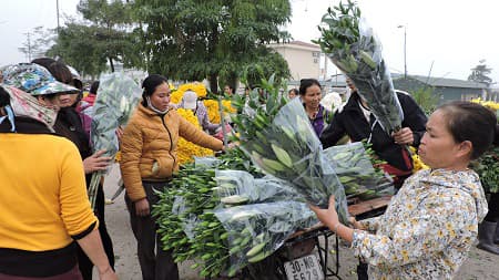 Gần 8-3, hoa hồng, hoa ly Tây Tựu tăng giá mạnh
