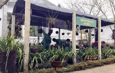 Gây nguồn quỹ Đoàn từ vườn hoa lan