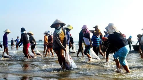 Đổi thay ở làng biển Bình Minh