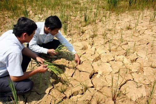 XÓA BẤT CẬP TRONG PHÒNG, CHỐNG XÂM NHẬP MẶN
