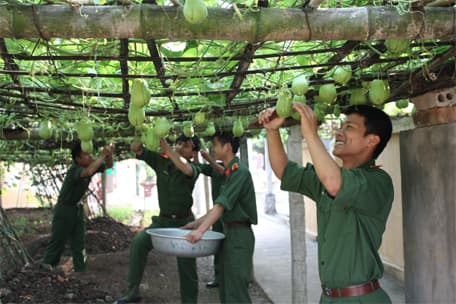Bài 2: Sáng tạo để nâng cao chất lượng đời sống bộ đội