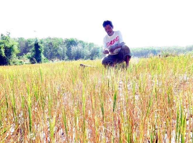 Công điện về chống nắng nóng, hạn hán ở khu vực Tây Nguyên