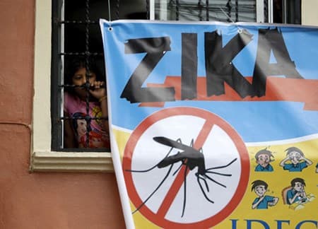 Tăng cường biện pháp phòng chống bệnh do vi rút Zika tại các cảng quốc tế