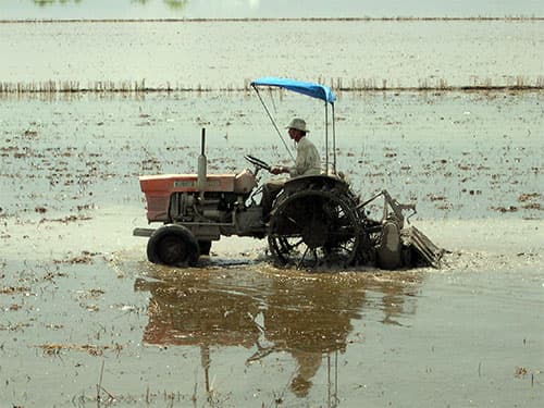 Nguy cơ mất trắng