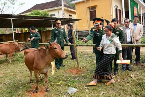 Tặng bò giống cho 10 hộ nghèo xã Nậm Giải