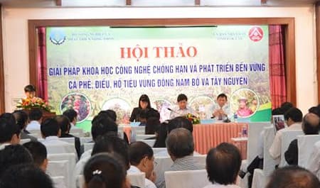 Tìm giải pháp chống hạn vùng Đông Nam Bộ và Tây Nguyên