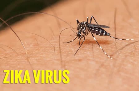 Bộ Y tế thành lập 8 đoàn kiểm tra công tác phòng, chống dịnh bệnh do vi rút Zika