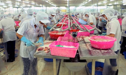 Thực hiện Nghị quyết 14/NQ-CP: Mở cửa chuỗi liên kết nông nghiệp bền vững