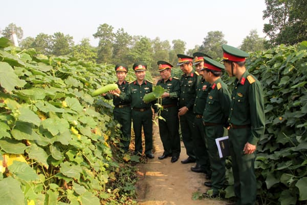 Đoàn công tác Tổng cục Hậu cần kiểm tra tại Trung đoàn 19