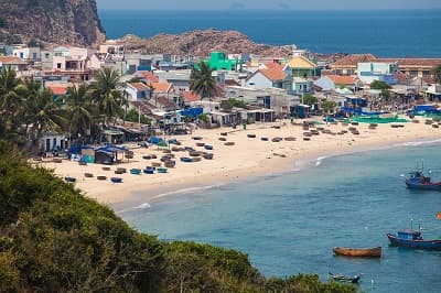 Những bước đi mạnh bạo