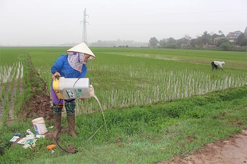 Hiểm họa rình rập từ vỏ bao bì thuốc bảo vệ thực vật