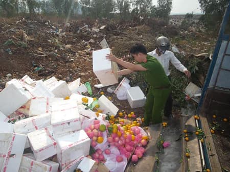 Đắk Lắk: Tiêu huỷ gần 1 tấn trái cây không rõ nguồn gốc