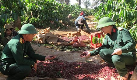 Điểm sáng trên vùng cao nguyên đất đỏ