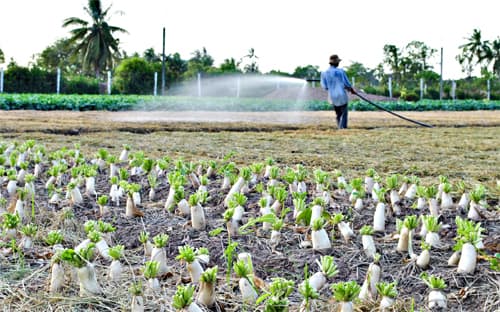 Tài nguyên nước ngầm chưa được quản lý, khai thác hiệu quả