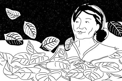 Rau nhà