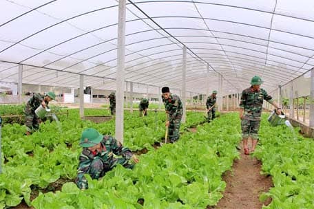 Tự lực, tự cường dựng xây đơn vị