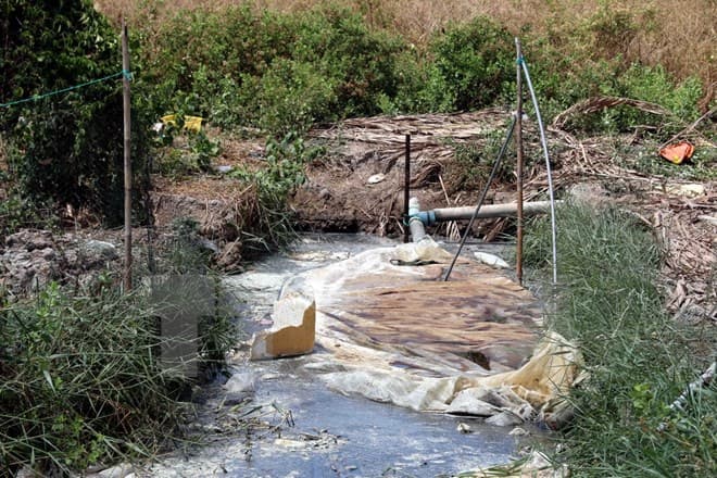 Cà Mau: 7 bệnh nhân ngạt khí độc rò rỉ từ hầm biogas đã qua nguy kịch