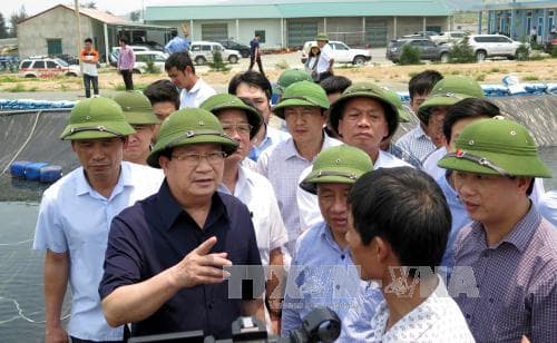 Sớm xác định nguyên nhân cá chết và hỗ trợ người dân