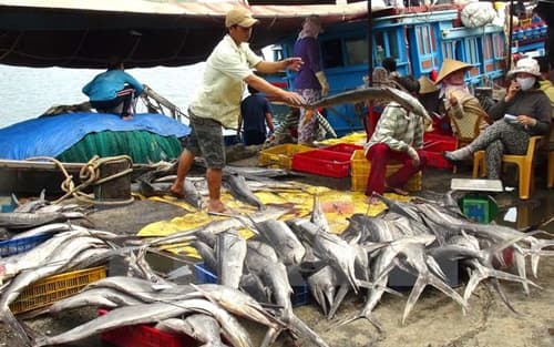CÙNG NGƯ DÂN MIỀN TRUNG VƯỢT KHÓ