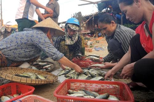 “Việc mô ra việc nớ”