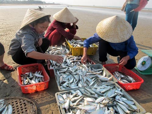 Biển Hà Tĩnh - bình yên đang trở lại