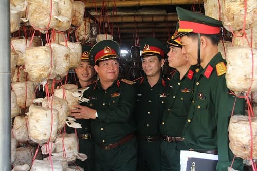 Mô hình tăng gia sản xuất tiêu biểu, hiệu quả