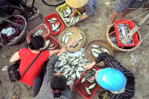 Khi chính quyền sát cánh cùng dân