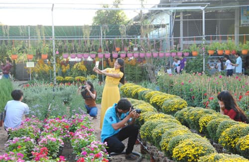 Đánh thức tiềm năng du lịch Đồng Tháp