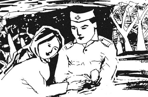 Hoa nắng