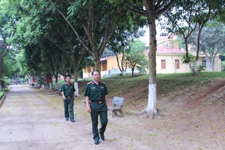 Mùa hoa sấu