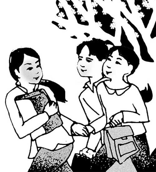 Mận tam hoa sau cổng trời Mường Lống