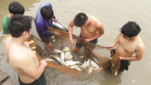 Hải Đoàn 38: Chủ động, linh hoạt trong bảo đảm Hậu cần