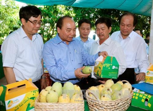 Thủ tướng Nguyễn Xuân Phúc: Nhân rộng mô hình tái cơ cấu nông nghiệp ở Đồng Tháp