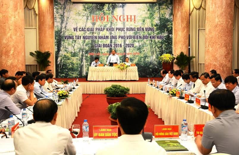 Tìm giải pháp khôi phục rừng bền vững vùng Tây Nguyên