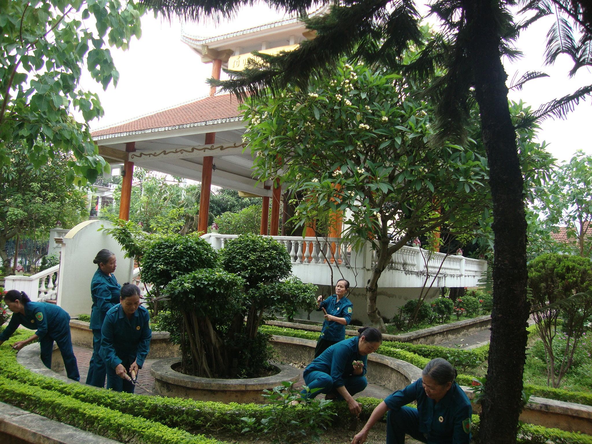 Tự hào cựu nữ dân quân