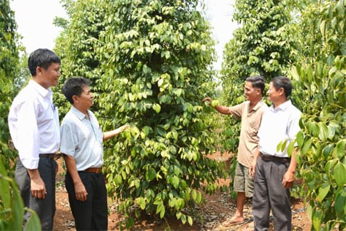 Bài 3: Cán bộ nêu gương, chủ trương thành hiện thực (Tiếp theo và hết)