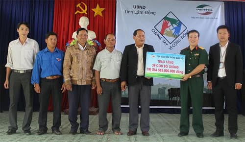 Viettel Lâm Đồng trao tặng bò giống cho các hộ gia đình nghèo