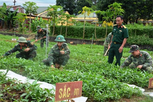 Kho K802 tăng gia giỏi