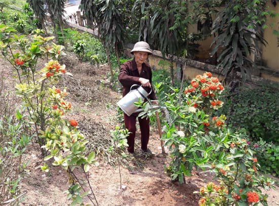 “Ông lão gàn” chăm quét rác, trồng hoa…
